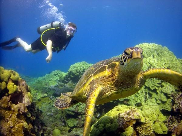 Five Must-Sees When Visiting Maui | Black Sand Beaches, Volcano Views & Hawaiian Traditions